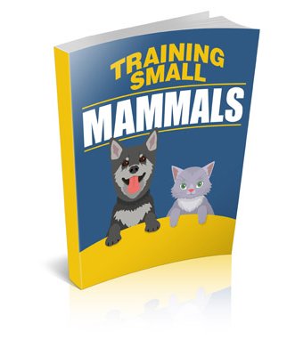 Training Small Mammals eBook cover
