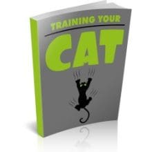 Training Your Cat eBook cove