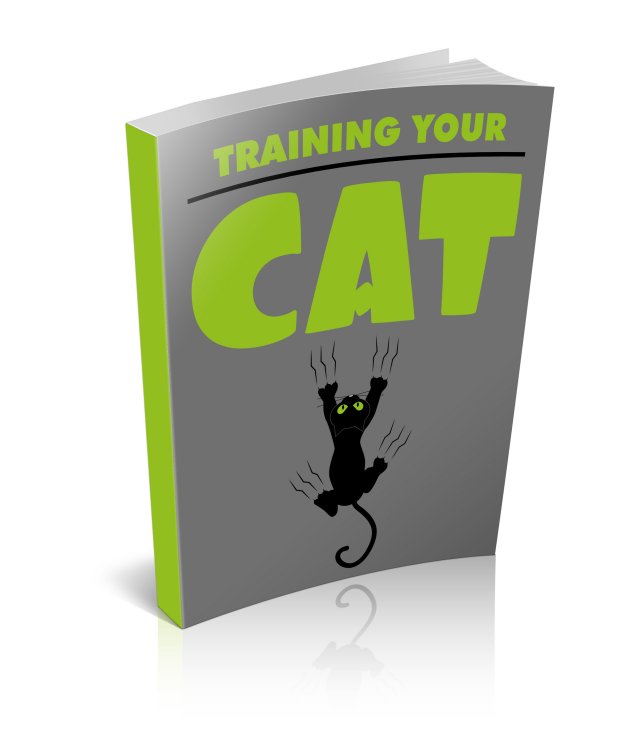 Training Your Cat eBook cove