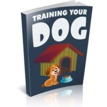 Training Your Dog eBook cover