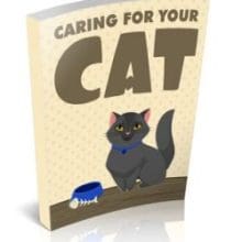 Caring For Your Cat eBook cover