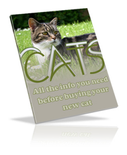 Cats eBook cover