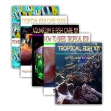 Big Collection Aquarium Fish Titles eBook cover