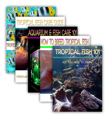 Big Collection Aquarium Fish Titles eBook covers
