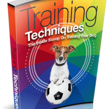 Training Techniques eBook cover
